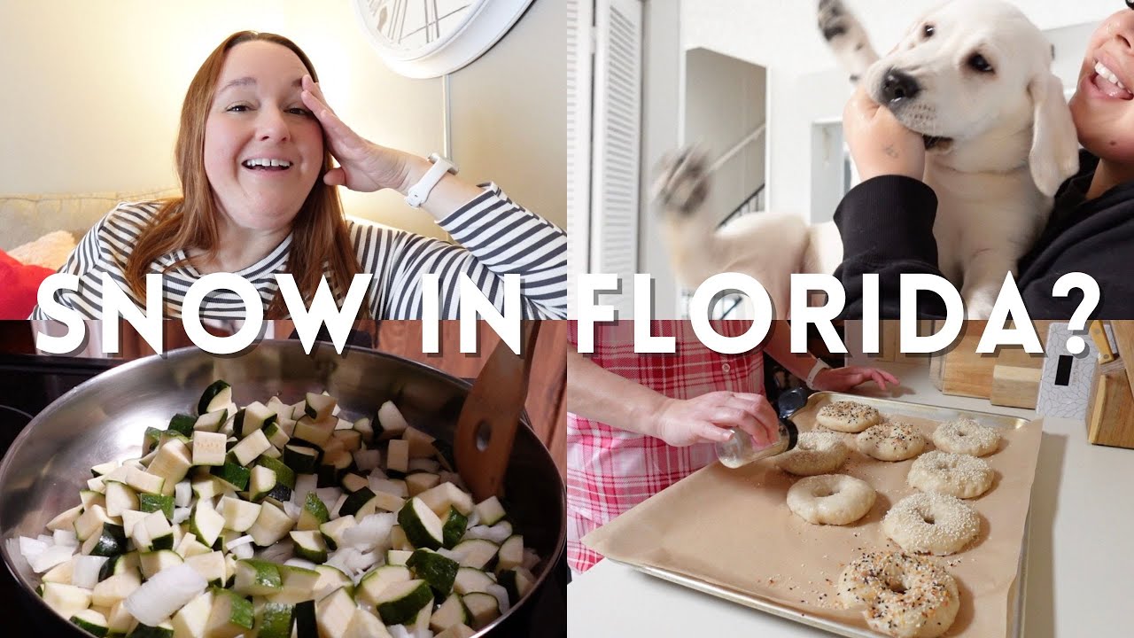 Florida Snow? ❄️ New puppy 🐶 Kitchen Time 👩‍🍳 
