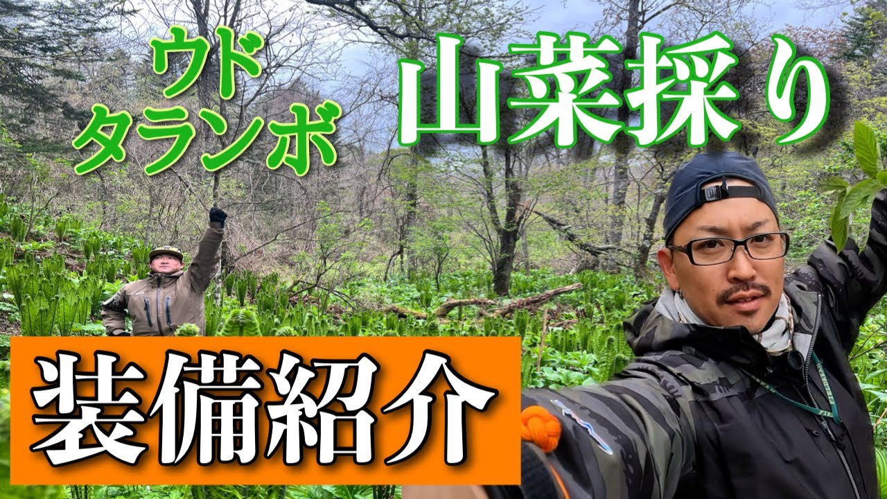 北海道【山菜採り】外遊びガチ勢によるポイント新規開拓のコツ。