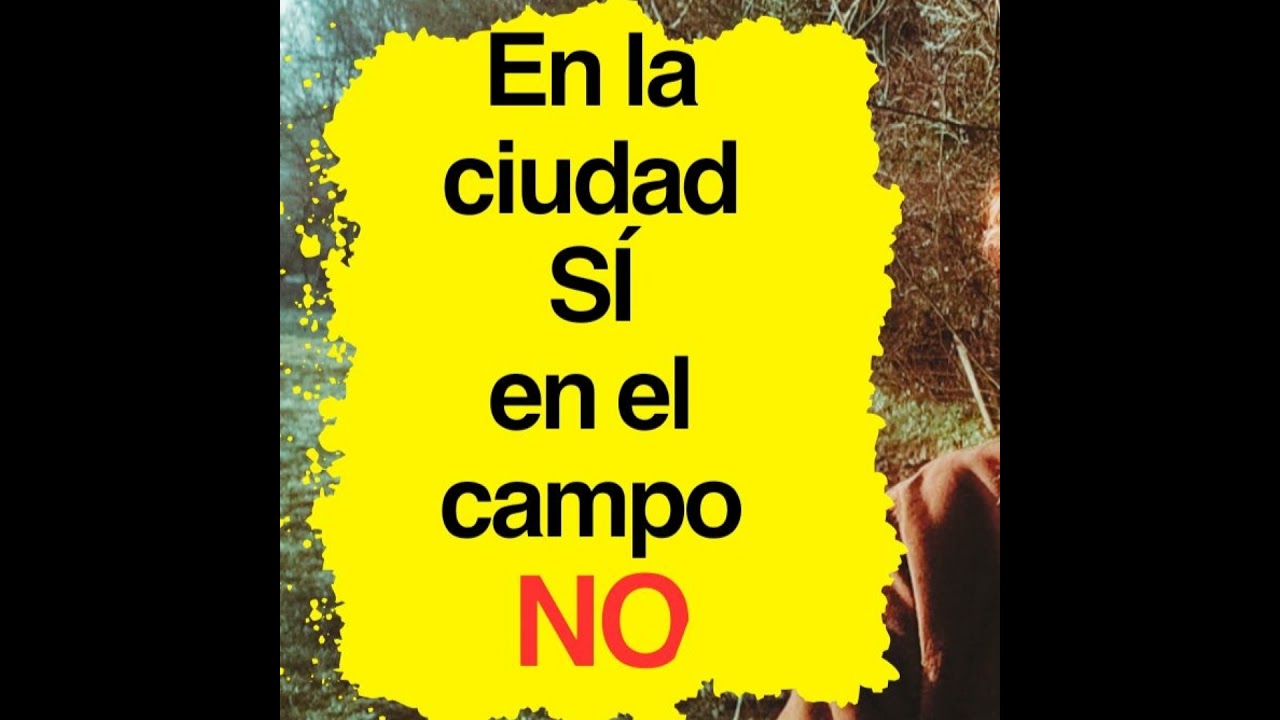 Por qué hay negocios o profesiones que funcionan en la ciudad… y en el campo no