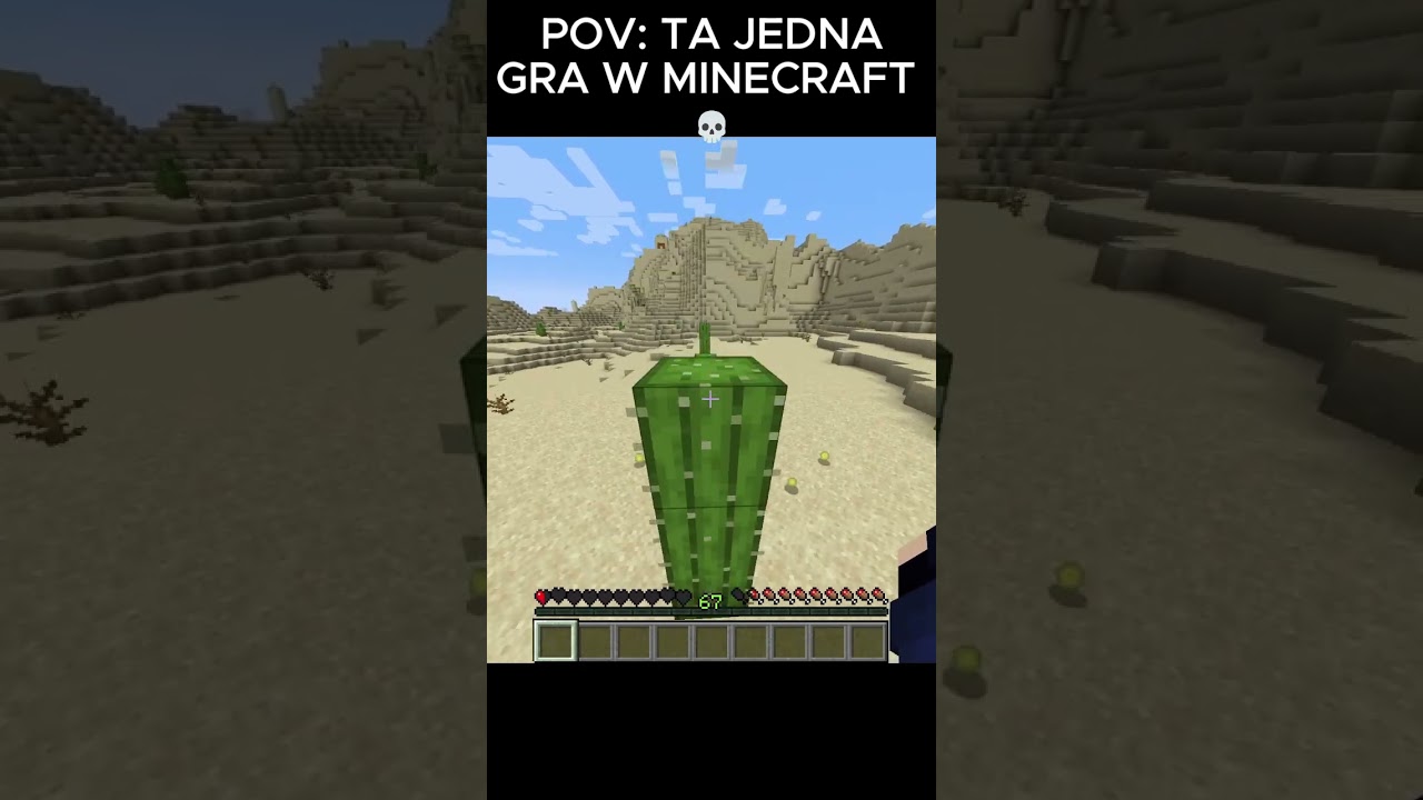 POV: TA JEDNA GRA 💀