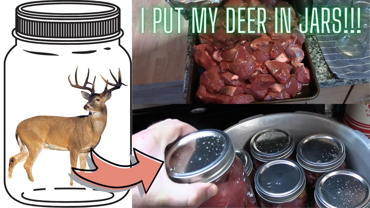 PRESSURE CANNING VENISON | RAW PACK MEAT CANNING