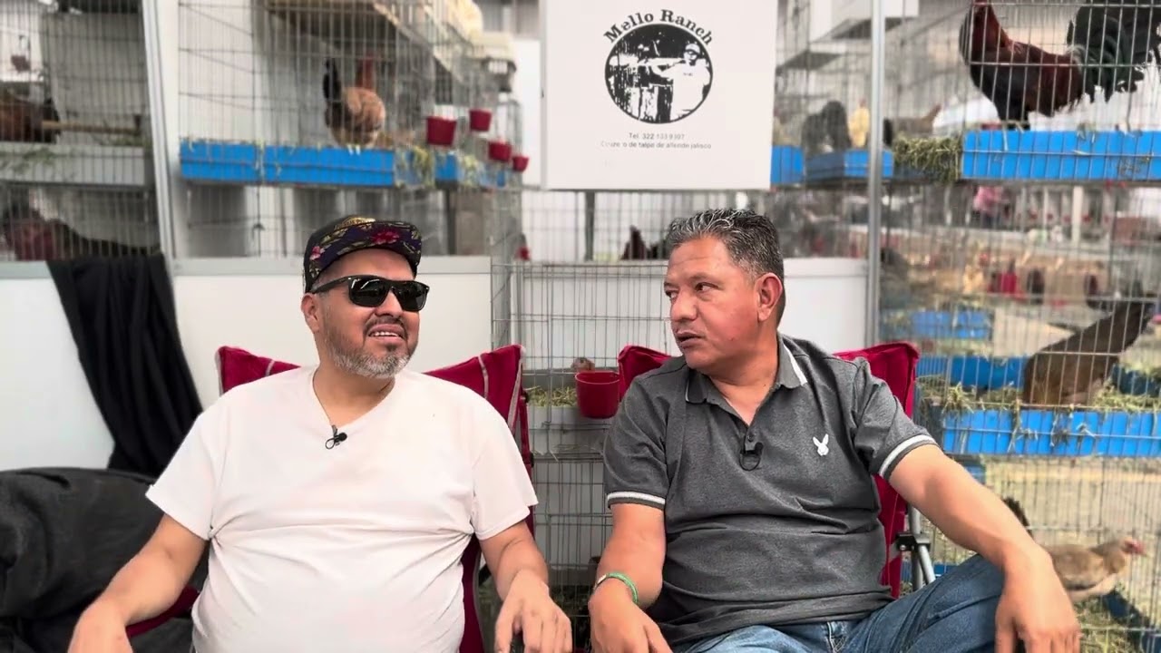 Entrevista a Mello Ranch‼️🐓📣