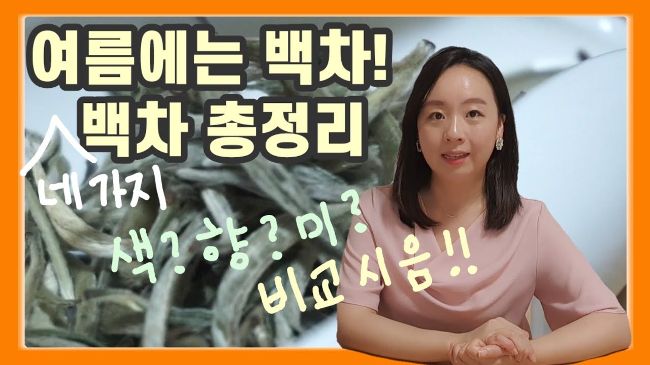 7년이 지나면 보물이 되는 백차! 여름에 마시기 좋아요 | 백차 총정리 ♡