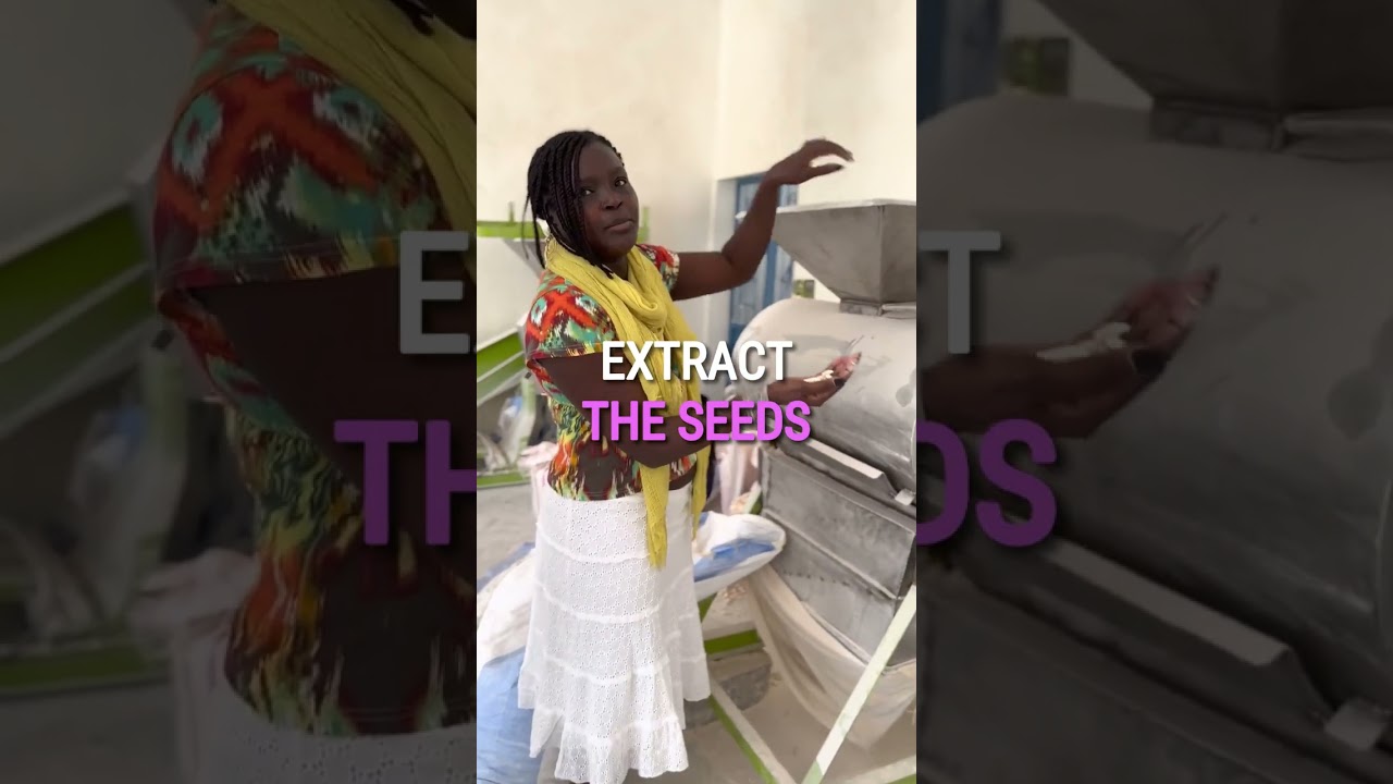 How Baobab Seed Oil is Made. #shorts #africa