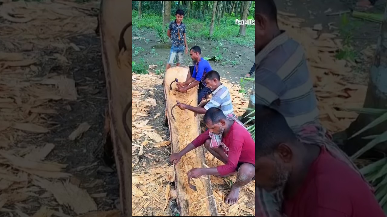 Boat made from old coconut trees #boat #tree #shorts