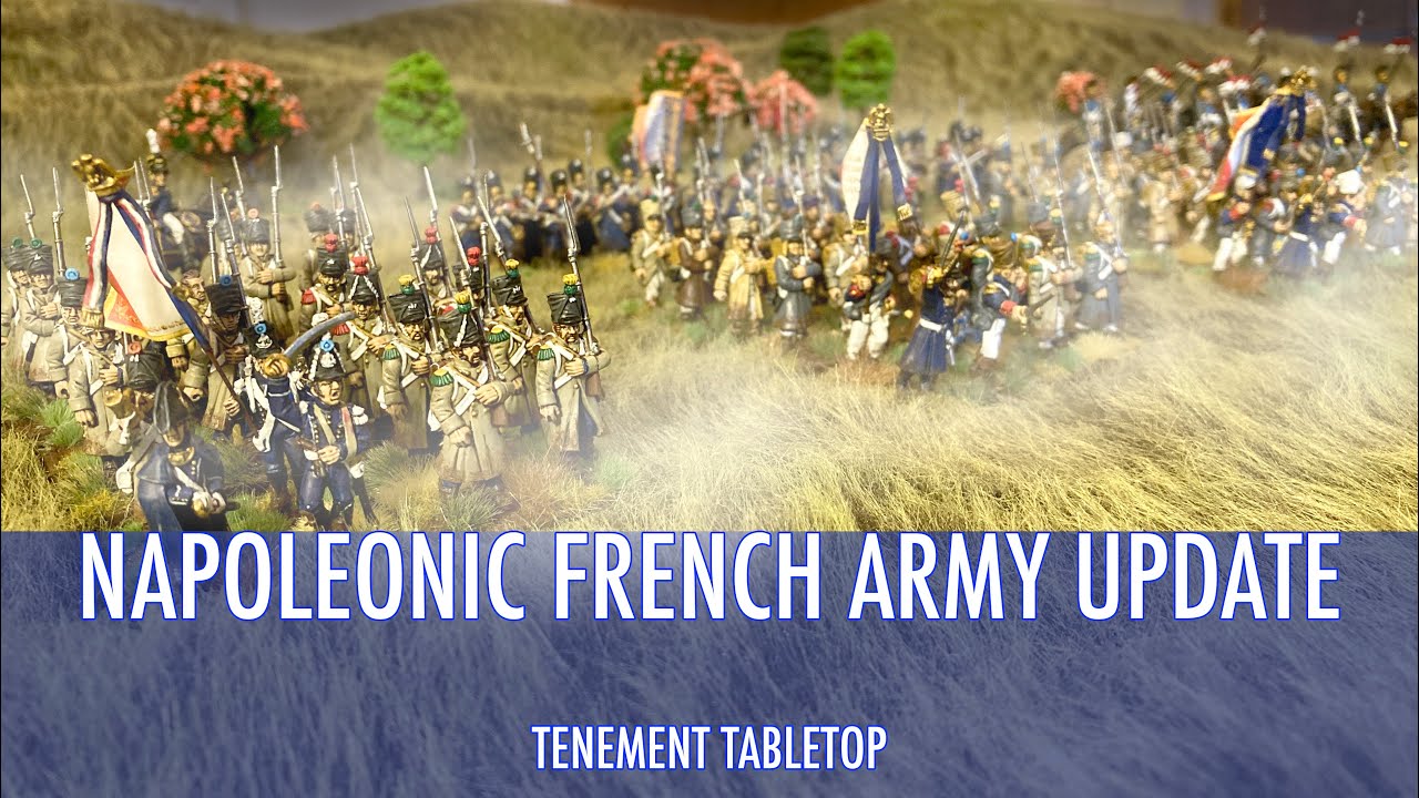 Napoleonic French Army Update