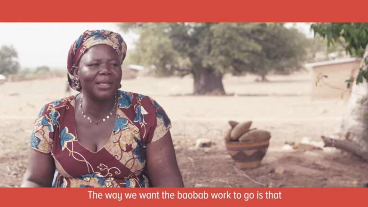 The Social Impact of Baobab: The Story of One Rural Household