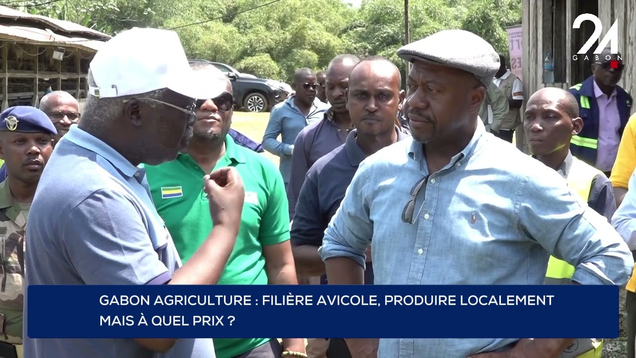 GABON AGRICULTURE : FILIÈRE AVICOLE, PRODUIRE LOCALEMENT MAIS À QUEL PRIX?