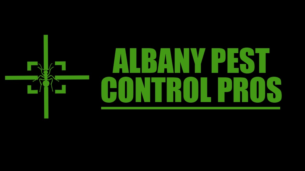 Albany Termite Exterminator | Termite Exterminator Service in Albany GA