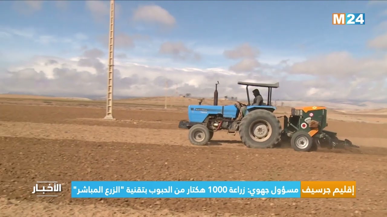 مسؤول جهوي: زراعة 1000 هكتار من الحبوب بتقنية 