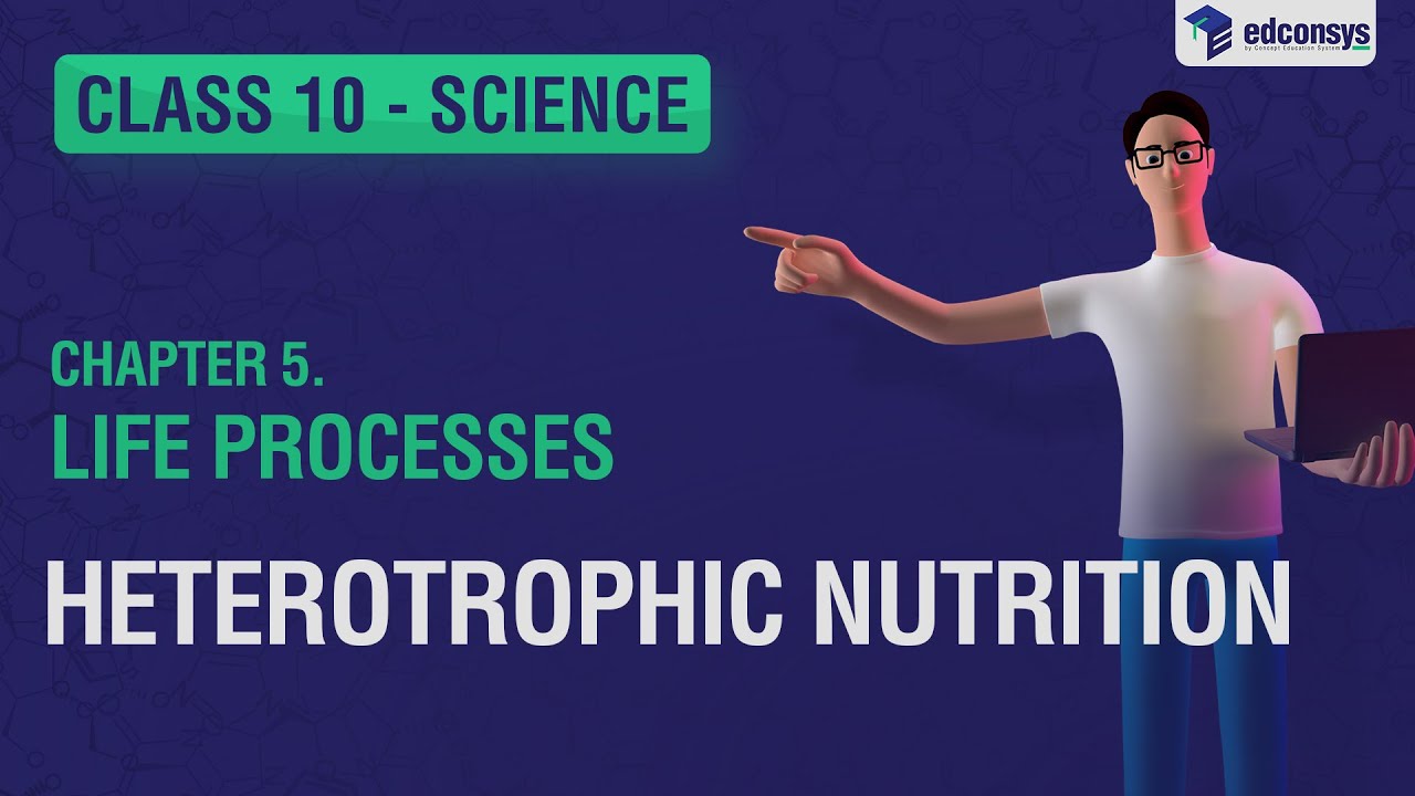 Heterotrophic Nutrition: Exploring How Organisms Obtain Food | 3D Explainer Video | 10th Science