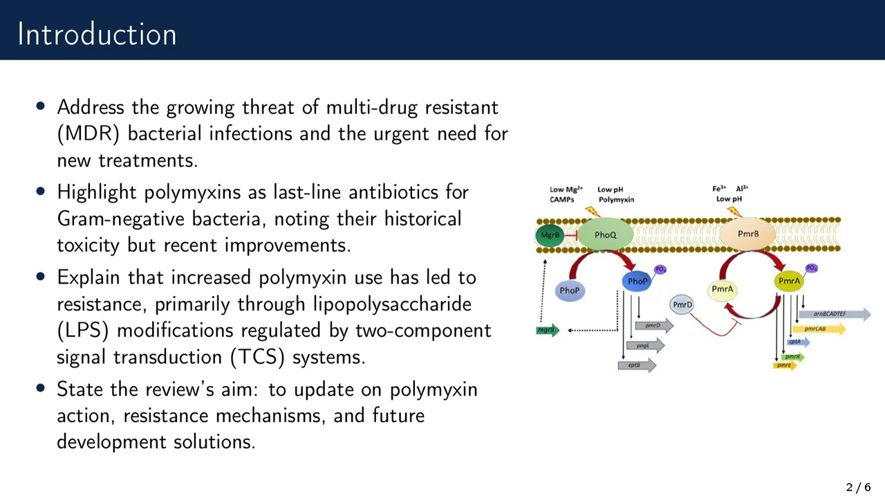 Polymyxins: Mode of action, resistance emergence, and potential solutions