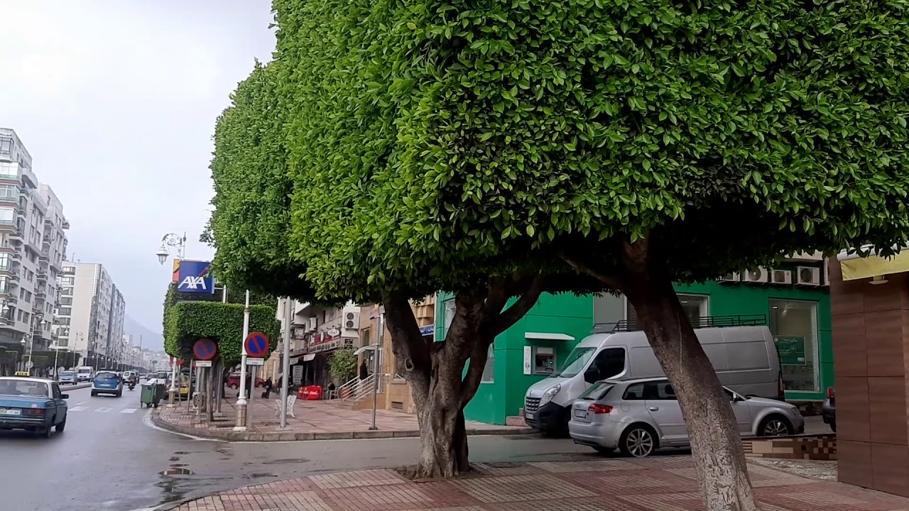 صباح الخير من قالب تطوان 🤍❤ موضوع ديالنا اليوم على حافلة نقل المدينة