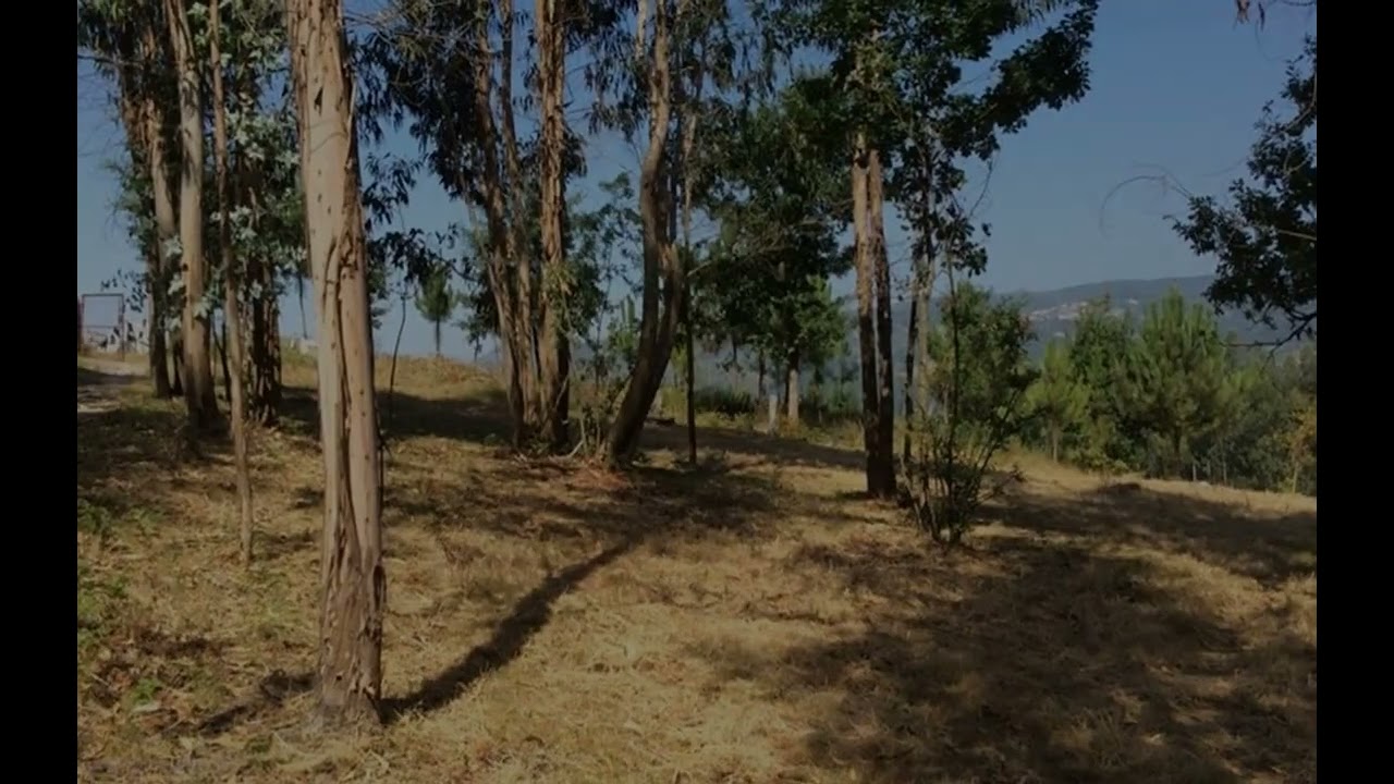 Souto, Arcos de Valdevez, terreno para construção 5.900m2
