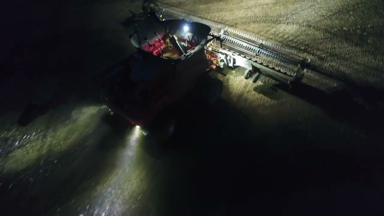 finishing beans after big snow.