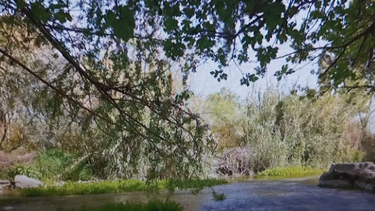 VID 20260114 173407