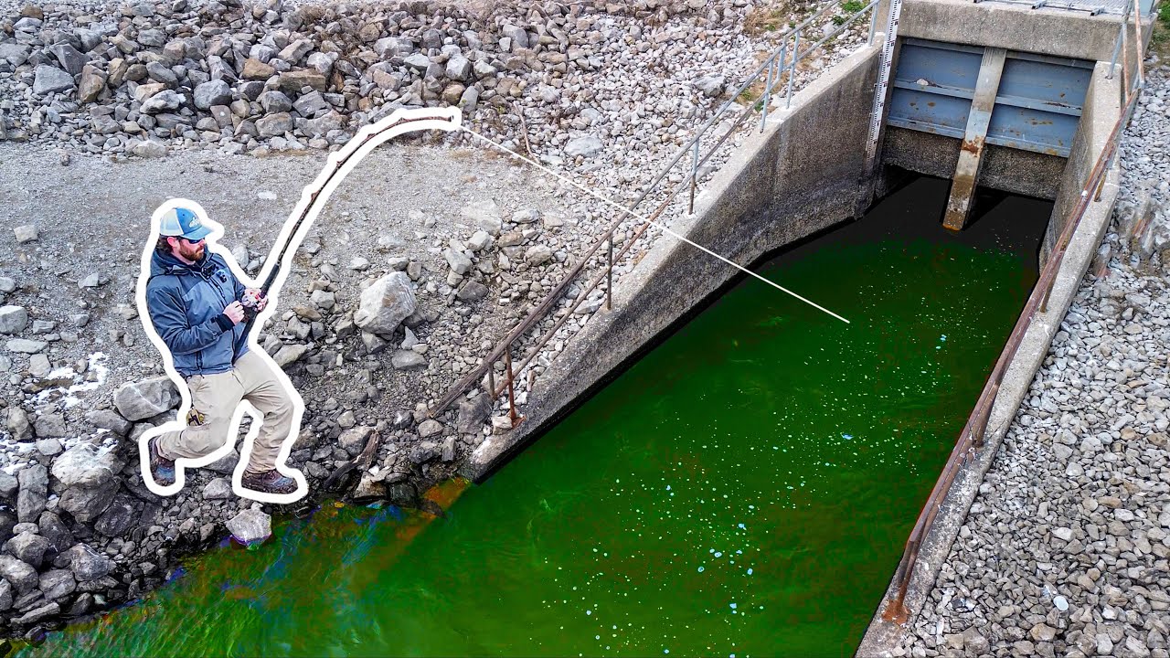This GIGANTIC Fish Of A LIFETIME was Living in this TINY SPILLWAY!!! (New PB!)
