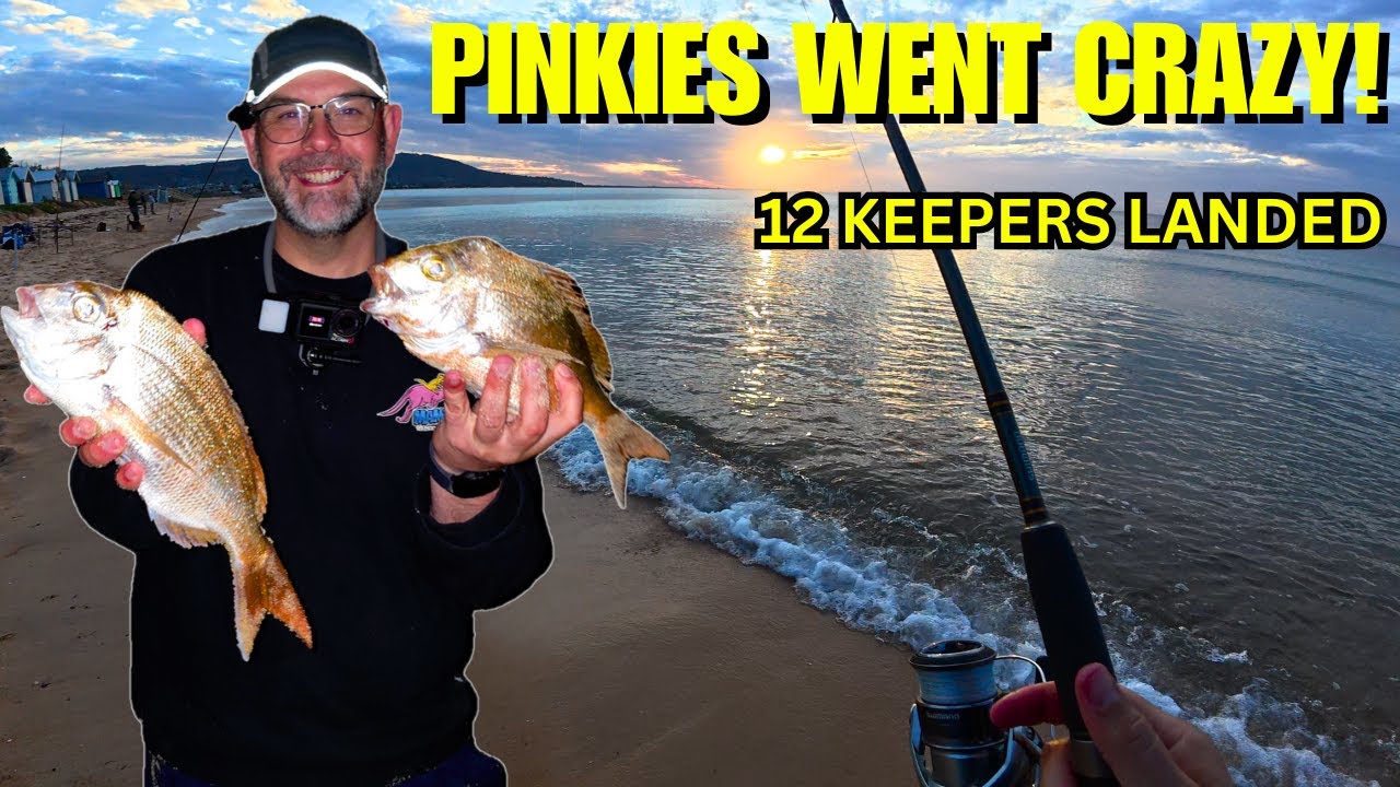 Pinkies Going Off! 12 Keepers in One Night + Bonus Whiting!