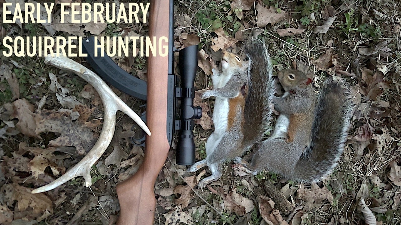 Late Season Squirrel Hunt - The TOUGHEST Time of Year