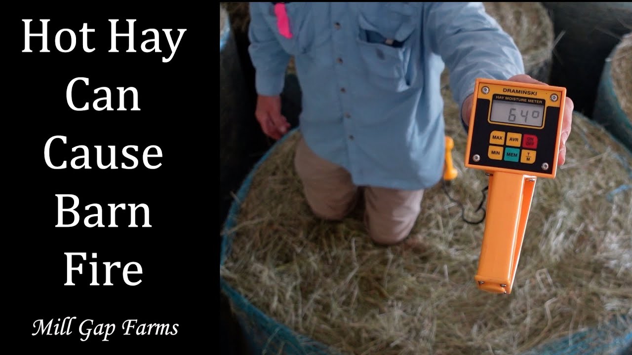 Check the Temperature & Moisture of Your Hay Before Stacking