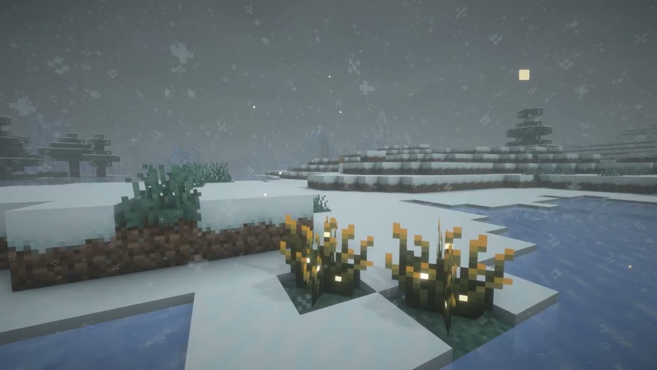 Snow