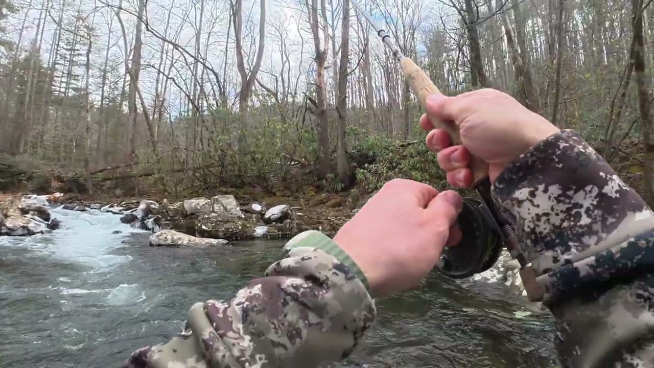 #fishing #flyfishing #tennessee Tellico River Cherokee National Forest 1/30/2026 water was 38F 🥶