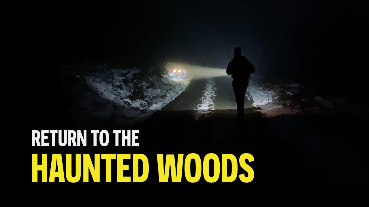 Return to the HAUNTED WOODS // The Lake District