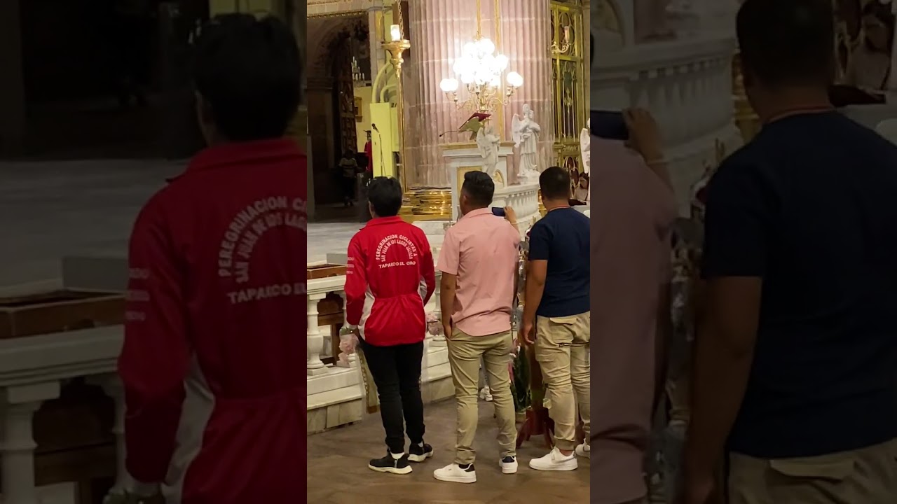 Solo soy un peregrino 🙏🏻❤️‍🩹 canto a la virgen de San Juan de los lagos