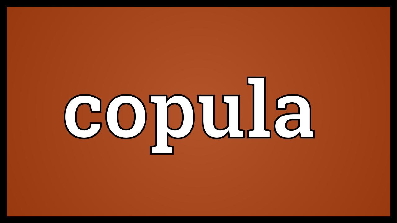 Copula Meaning