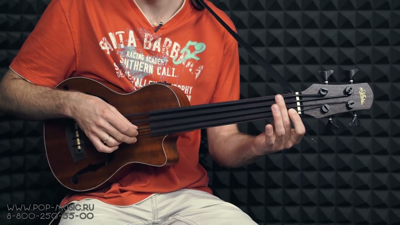 Hawaiian Improvisation on Fretless Ukulele Bass ARIA AUB CE FL