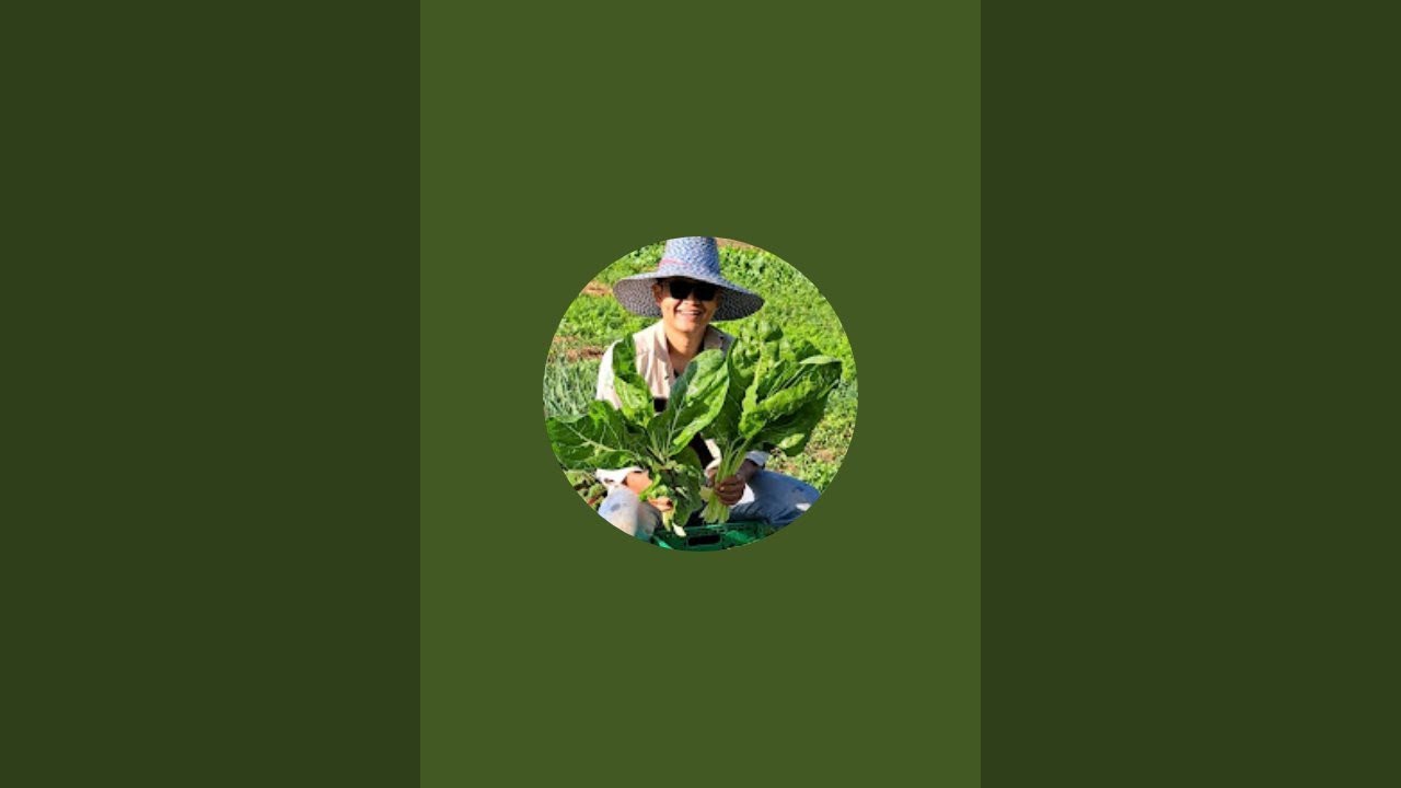 คือเก่าหละคับ