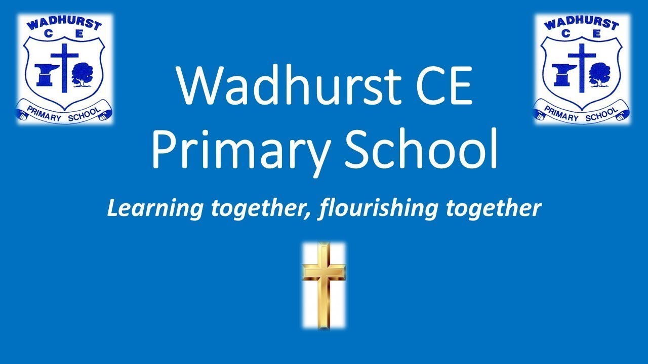 Wadhurst CE Primary School Film