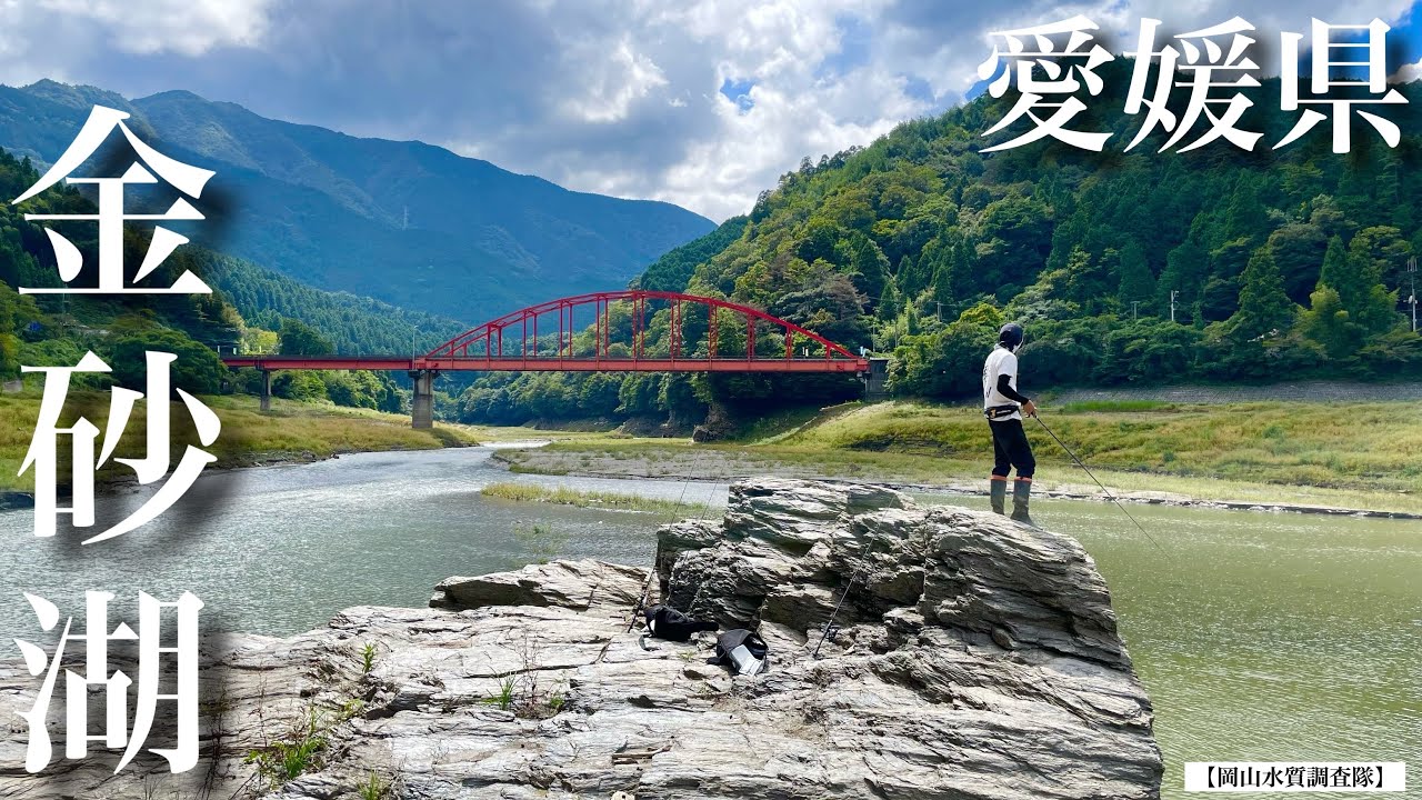 【四国：愛媛県・金砂湖】見えバスがウジャウジャいる⁉︎ なんだこの素晴らしいフィールドは‼︎ 『バス釣り』ロングワーム　MMZ フリーリグ　ネコリグ　動き アクション 使い方 見えバス　サイトOSP
