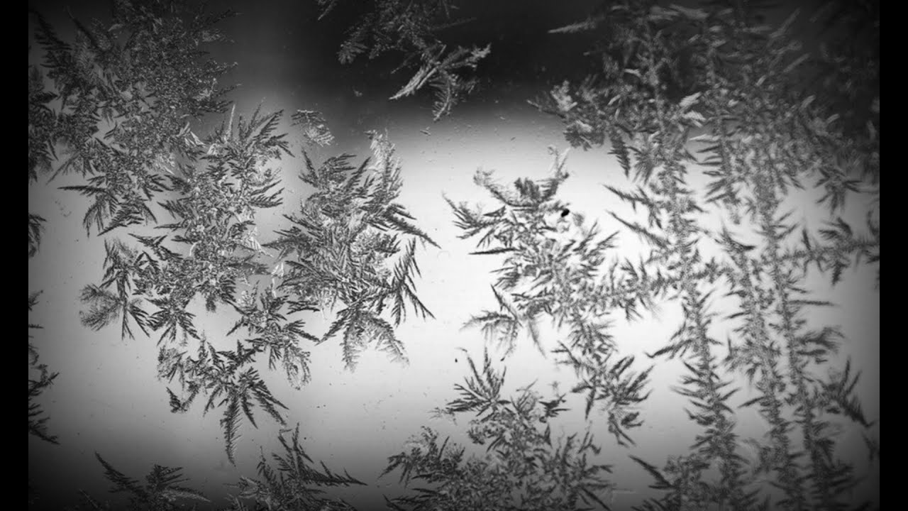 Yassen Vodenitcharov SOUNDS AND WHISPER FROM THE CRYSTAL FOREST (concerto for piano and orchestra)