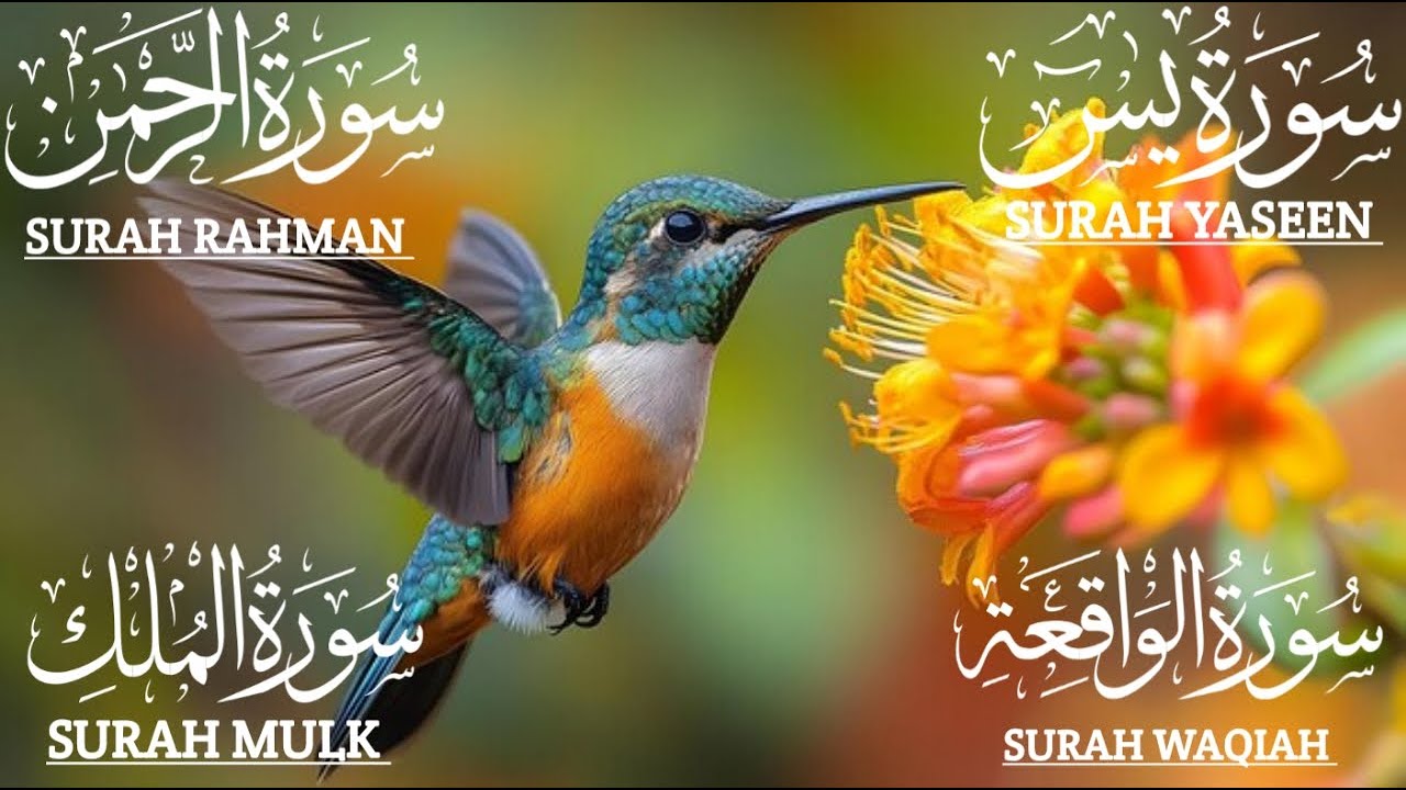 سورة يس، الرحمن، الواقعة، الملك من أروع ما جود استمع بنية الرزق والشفاء❤️Mind-Calming✨Yasin💫Rahman