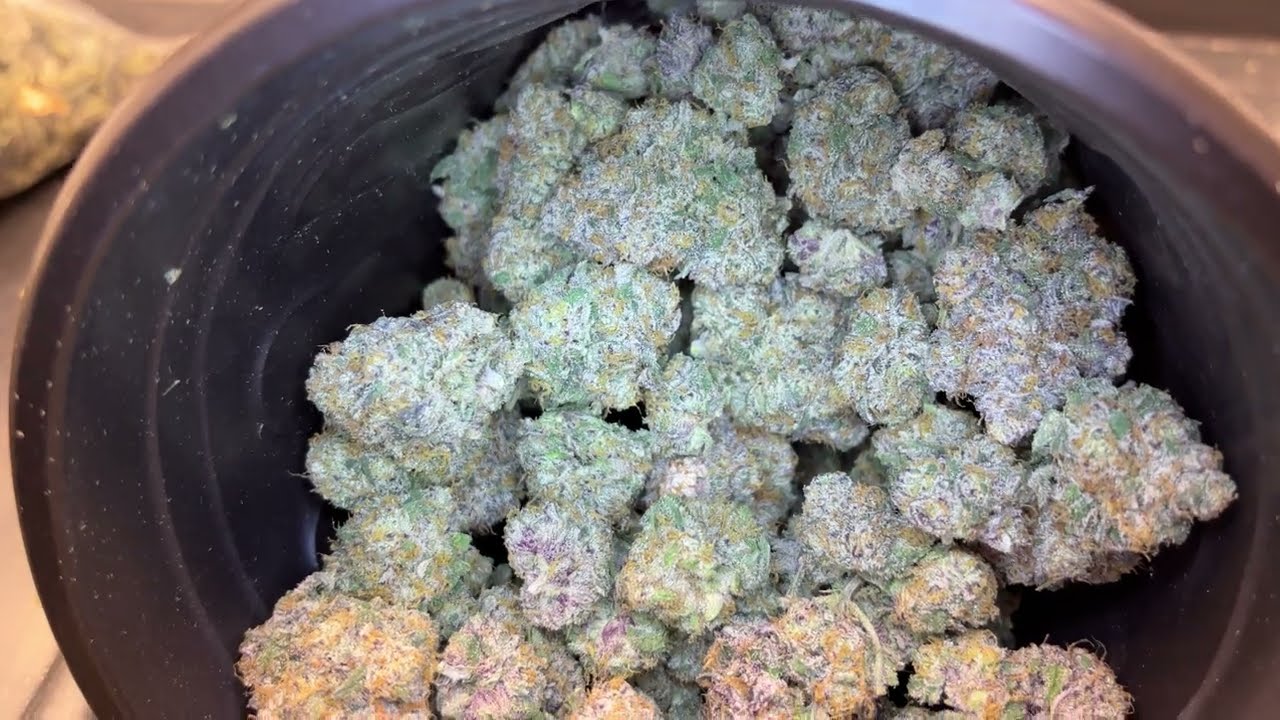 Cookies seedbank- Wet Wet (RUNTZ X CHEETAH PISS) harvest update