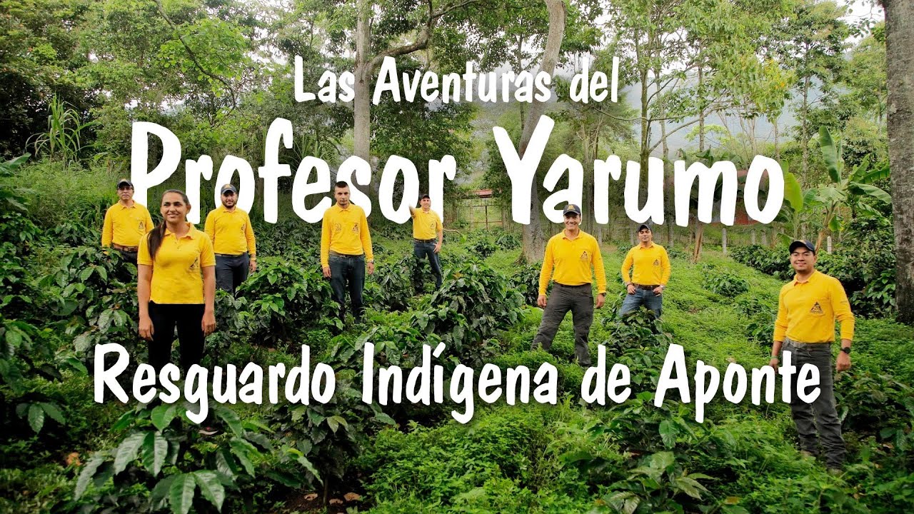 LAS AVENTURAS DEL PROFESOR YARUMO: RESGUARDO INDÍGENA DE APONTE