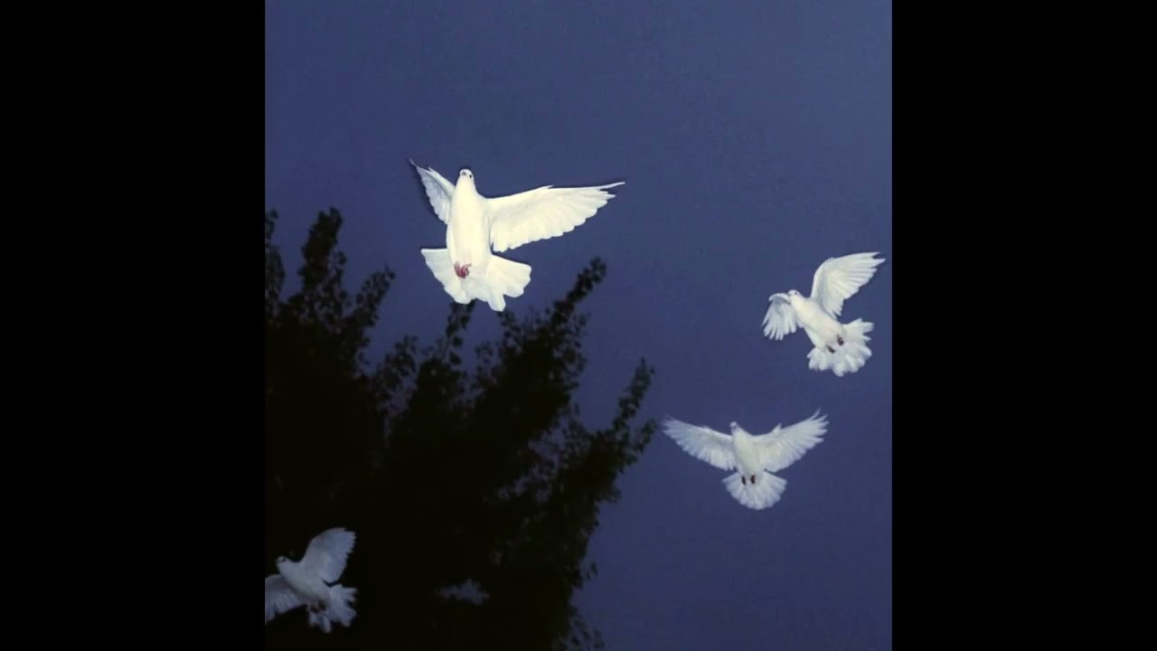 (free) indie rock + alternative type beat 