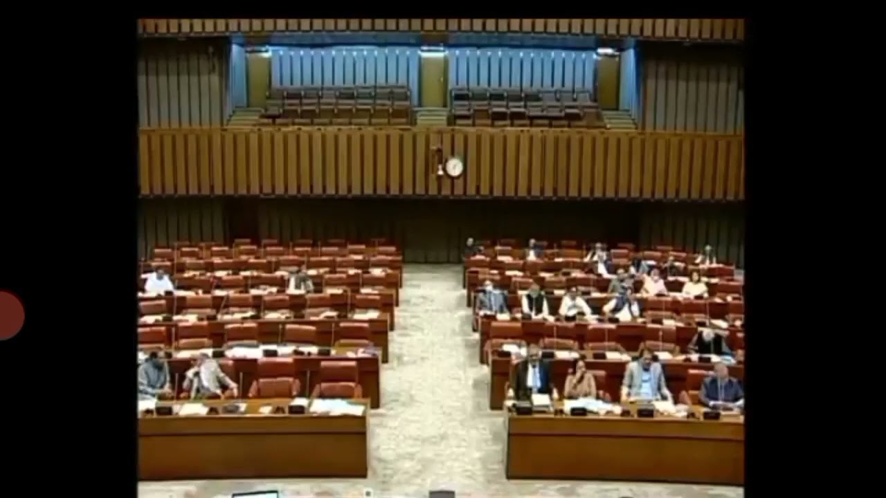 pmdc Bill 2022, passed from the senate of Pakistan.No more NLE & PMC.*#pmdc2022 #noNLE