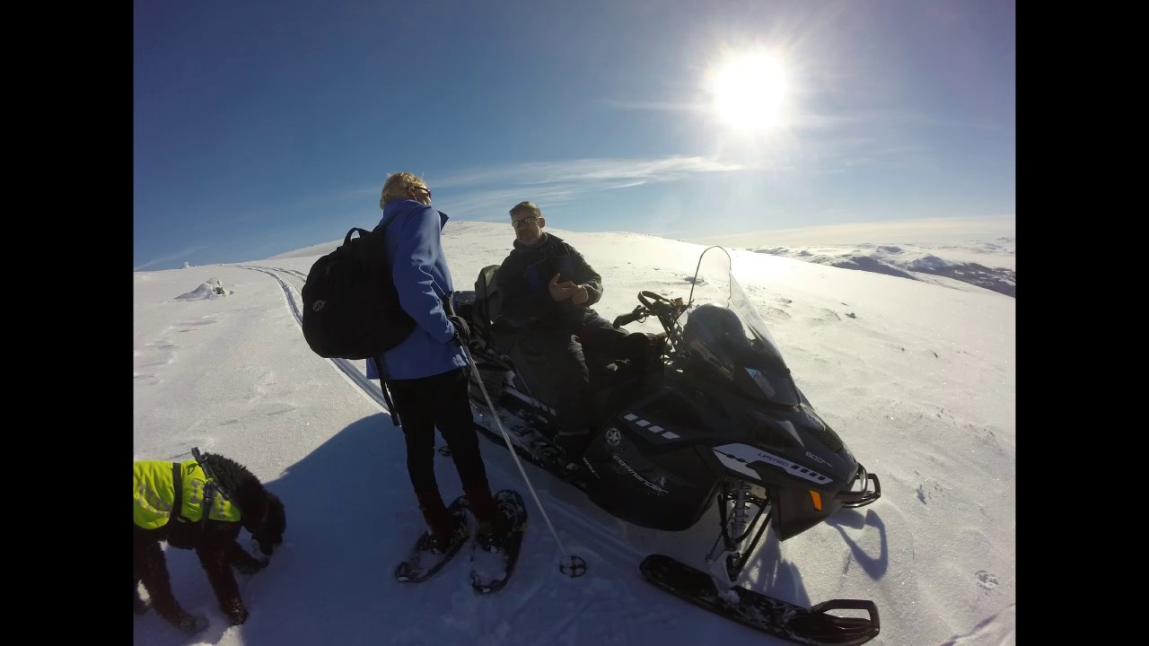 Snowshoeing at Dalseter with Mary Campbell - February 2017