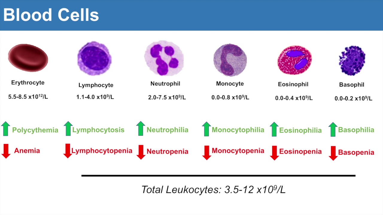 Introduction to Clinical Lab Values: Blood Cells and Electrolytes
