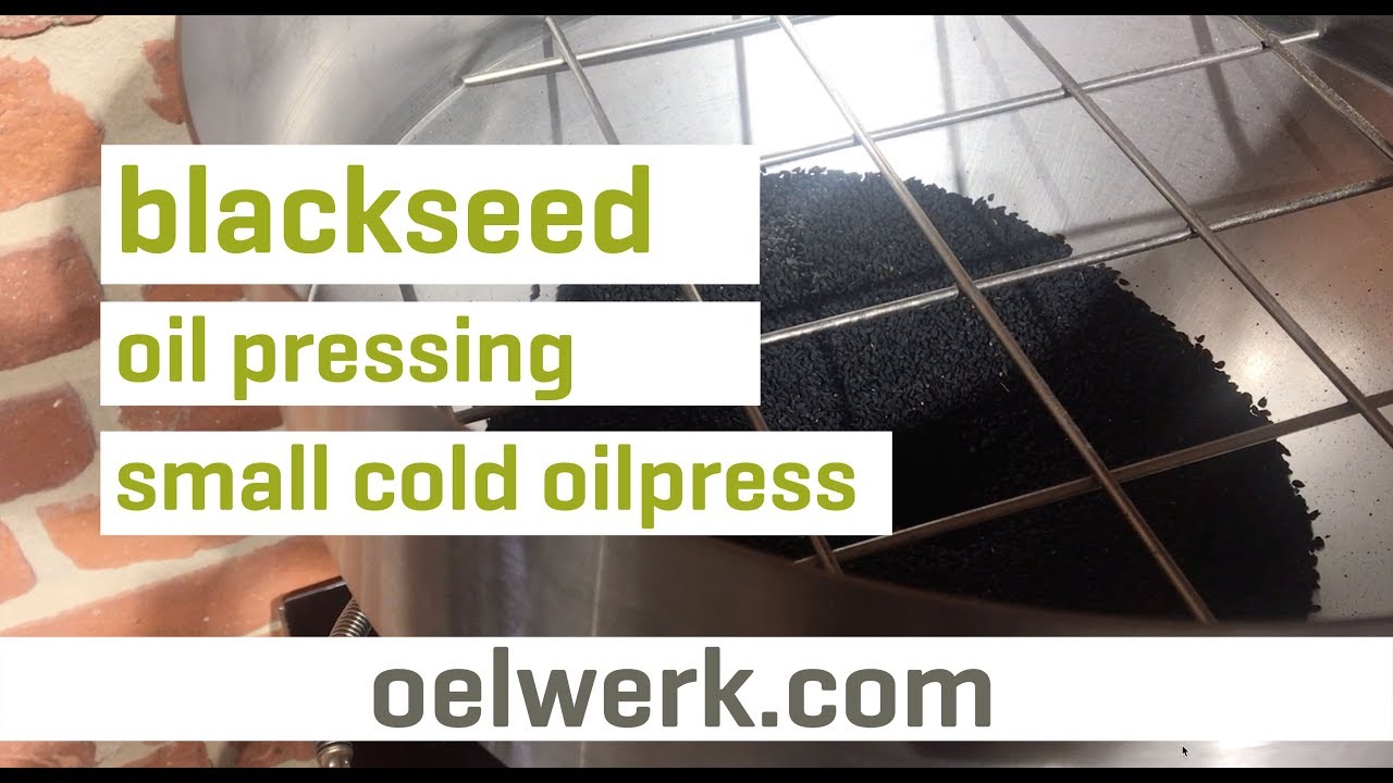 blackseed oil pressing with small german oilpress OW100s-inox | made in germany