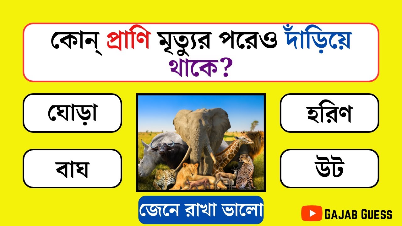 কোন্‌ প্রাণি মৃত্যুর পরেও দাঁড়িয়ে থাকে ||  Gk questions Bangla || Bangla Quiz || Gajab Guess