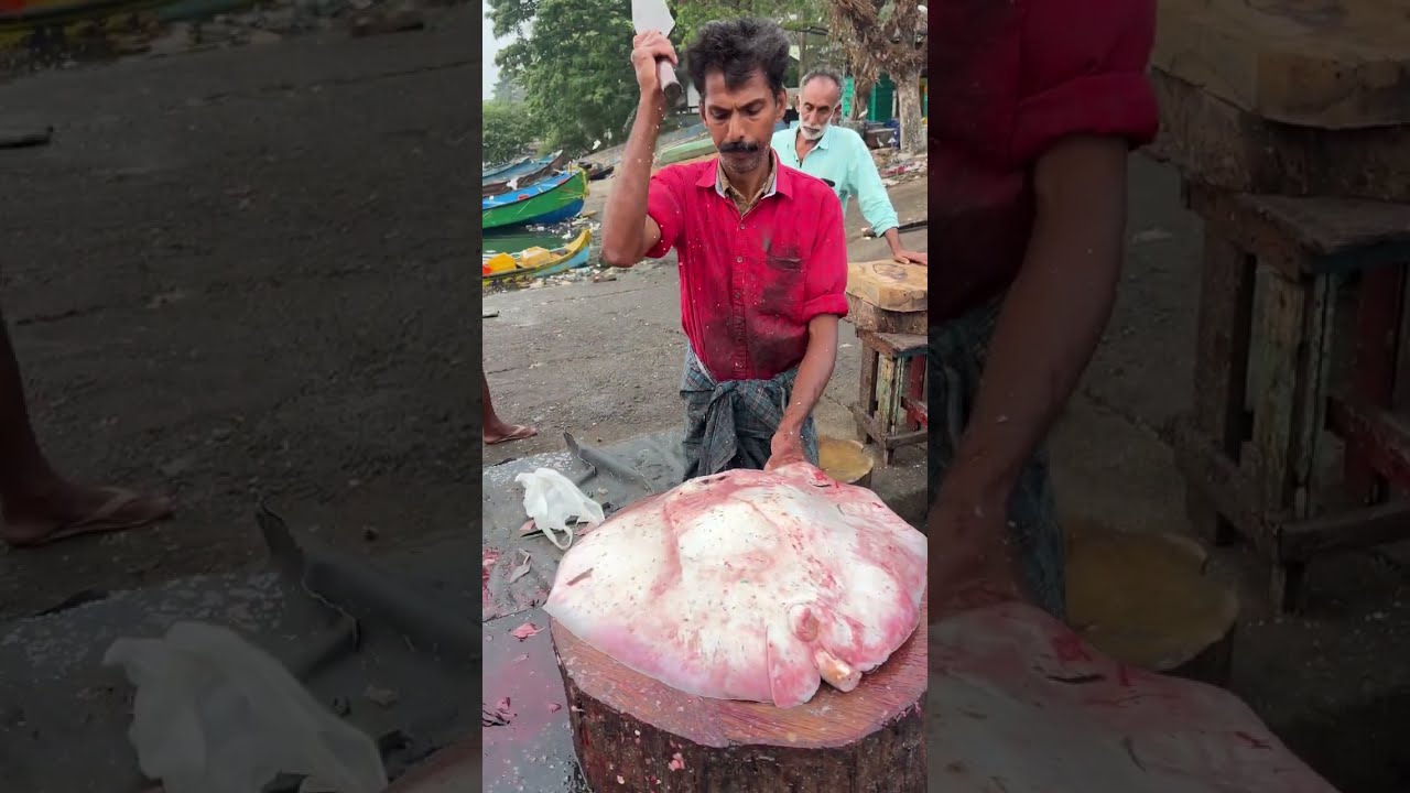 Big Stingray fish cutting skills #vibe #fishcutting #skills 