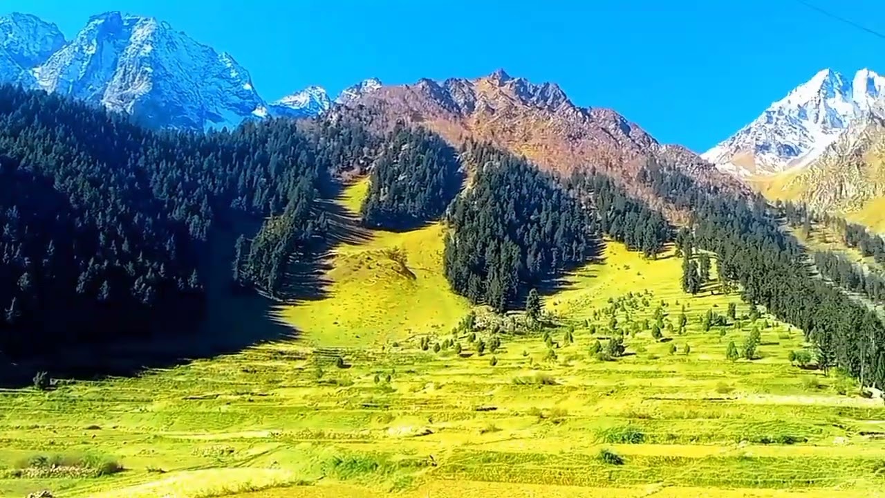 Beauty of Naltar Valley Summer vs Winter ll explore Naltar valley Gilgit Baltistan 2022
