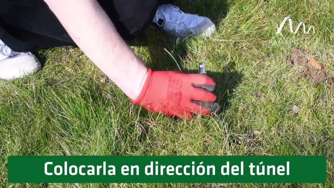 🛠 Cómo instalar trampas para topillos y topos – Funcionamiento paso a paso