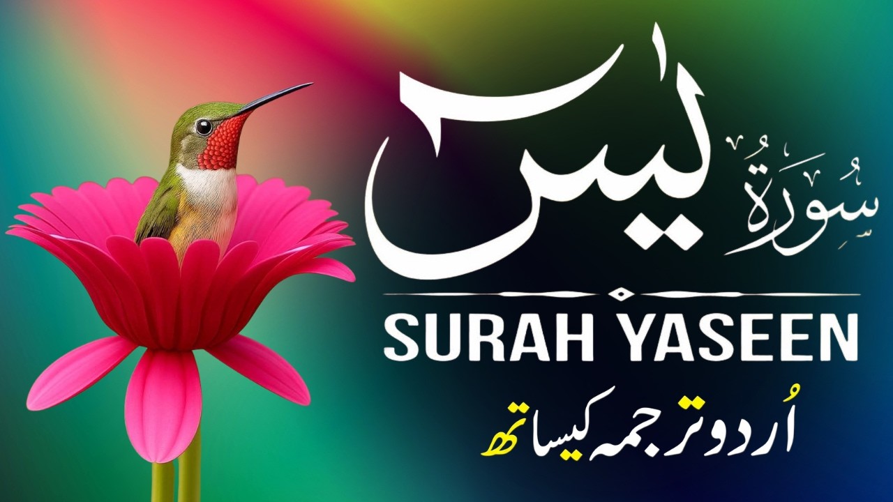 Surah Yaseen | Surah Yaseen With Urdu Translation | Al Furqan Studio | Ep116