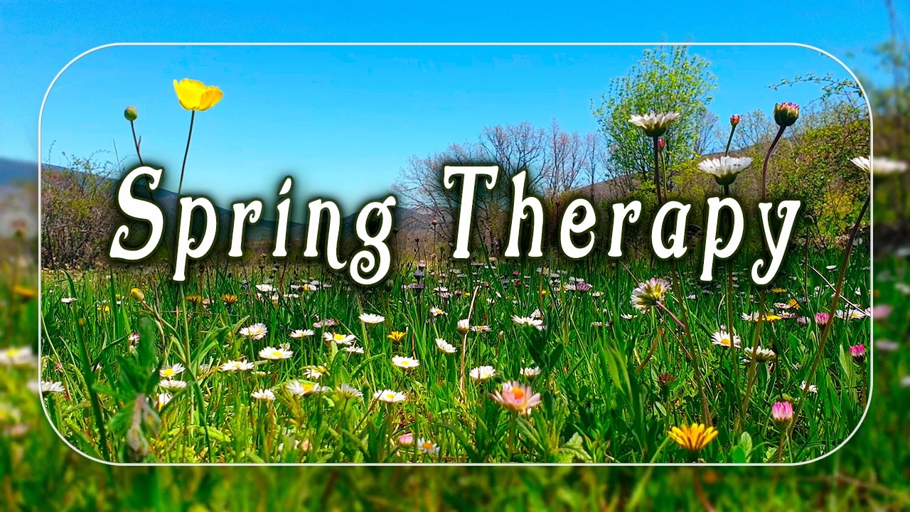Fresh Morning 🌳Begin your Day with the Positive Morning Vibrations of Spring 🌳Relaxing Nature Sounds