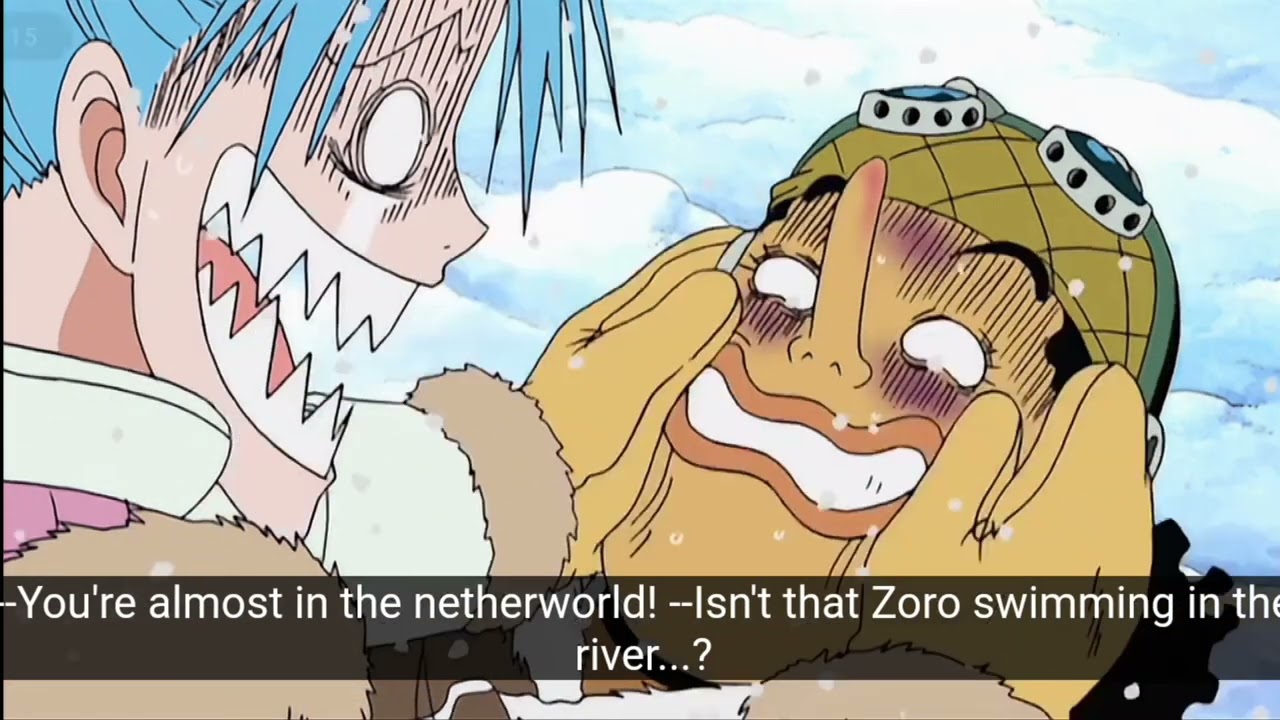 Usopp and Zoro almost meet at the field of flowers