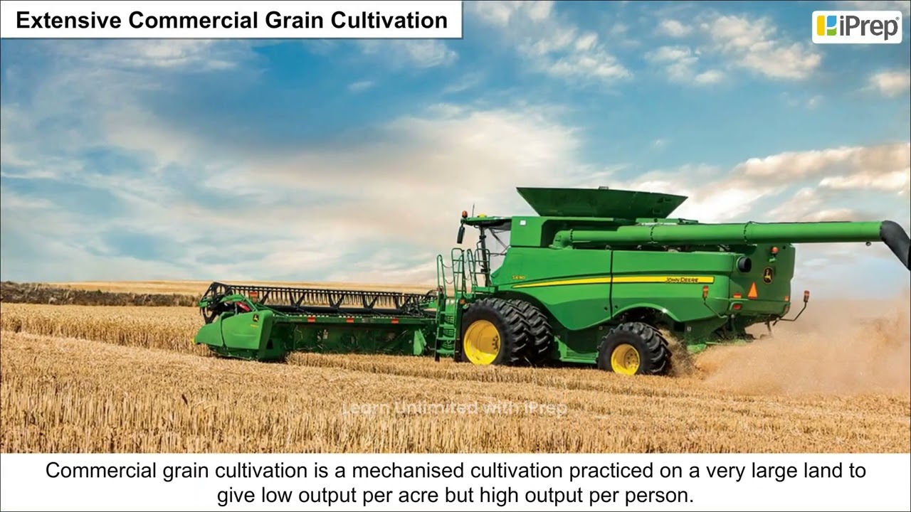 Plantation Agriculture | Primary Activities | Geography | Class 12th | iPrep